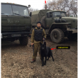 dvor-2015-06-26_123322