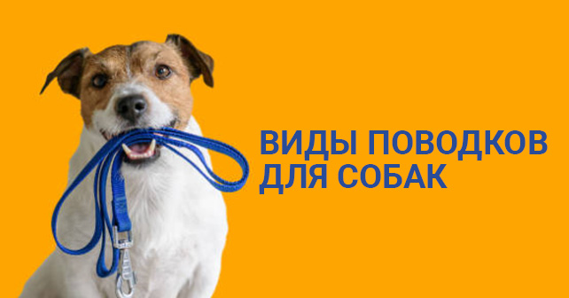 виды поводков для собак