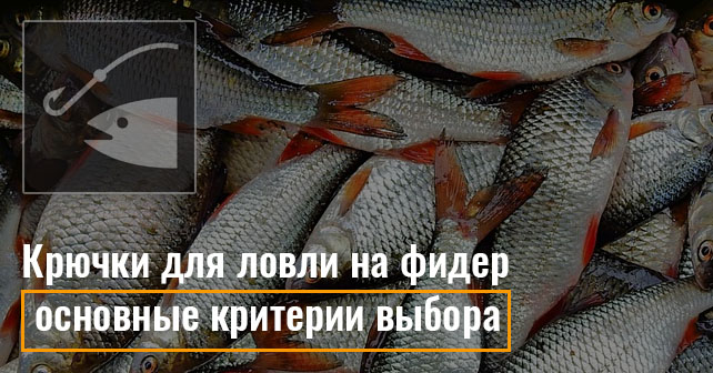 Крючок для фидера