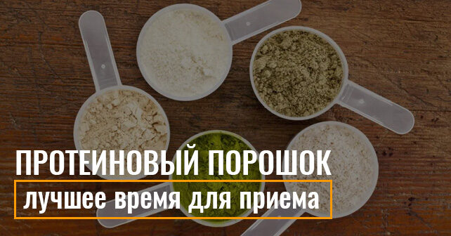 что дает протеин