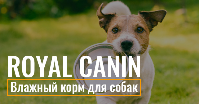 Влажный корм для собак Royal Canin