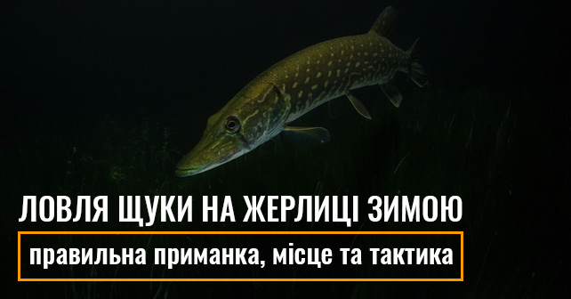 Ловля щуки на жерлиці зимою