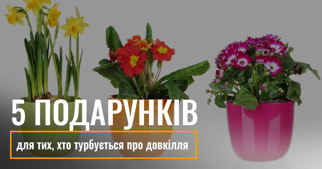 5 подарунків для тих, хто турбується про довкілля