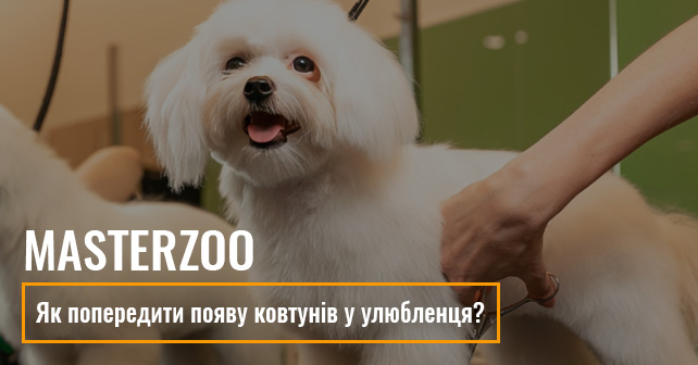 MasterZoo грумінг Київ