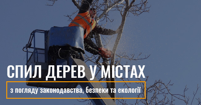 Спил дерев у Києві