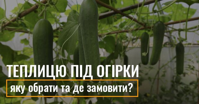 "Нова Теплиця"