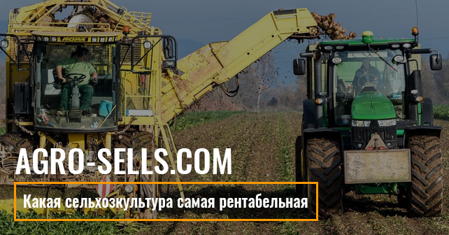 Какая сельхозкультура самая рентабельная