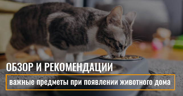 Кормушка для котов