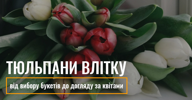 купити тюльпани в Києві