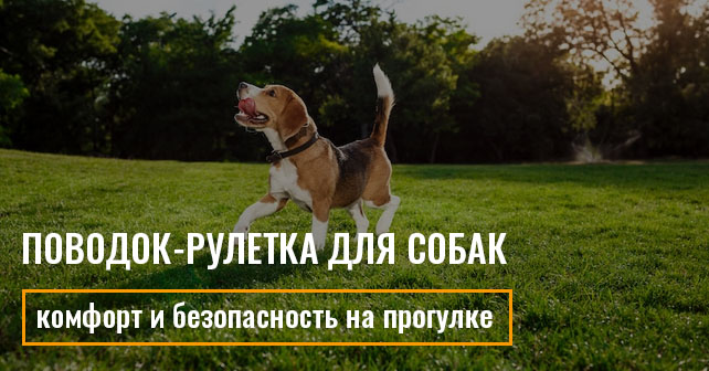 Поводок-рулетка для собак