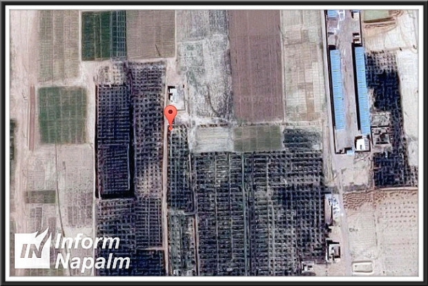 Artëm Amirakhov i Palmyra, Syrien Artëm Amirakhov i Palmyra, Syrien