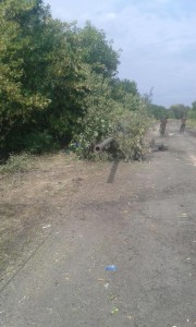 Captured Russian T72 tank in Ilovays'k, heavily concealed to prevent destruction by enemy artillery