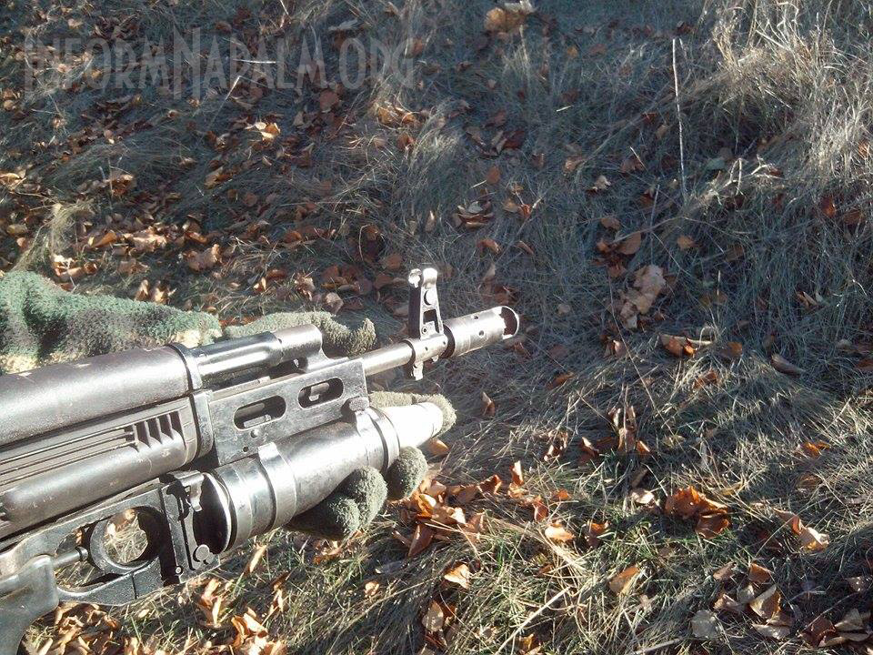 партизаны